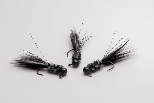 Baitfish