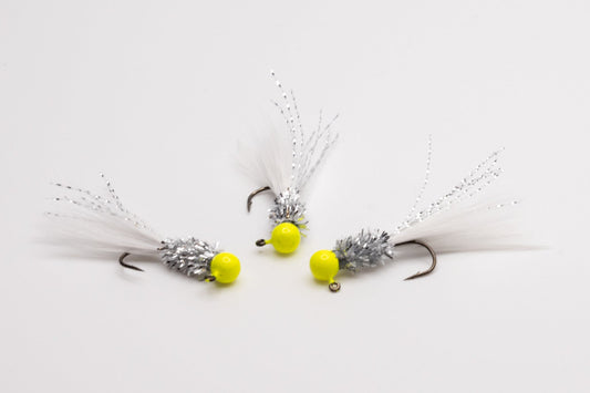 Yellow Belly